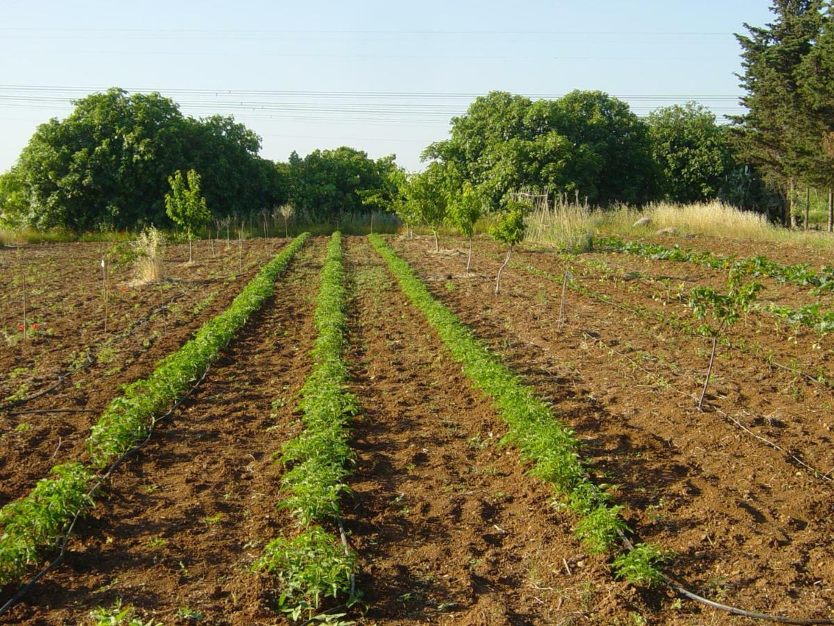 Tenuta Argiano Mesagne Exteriér fotografie