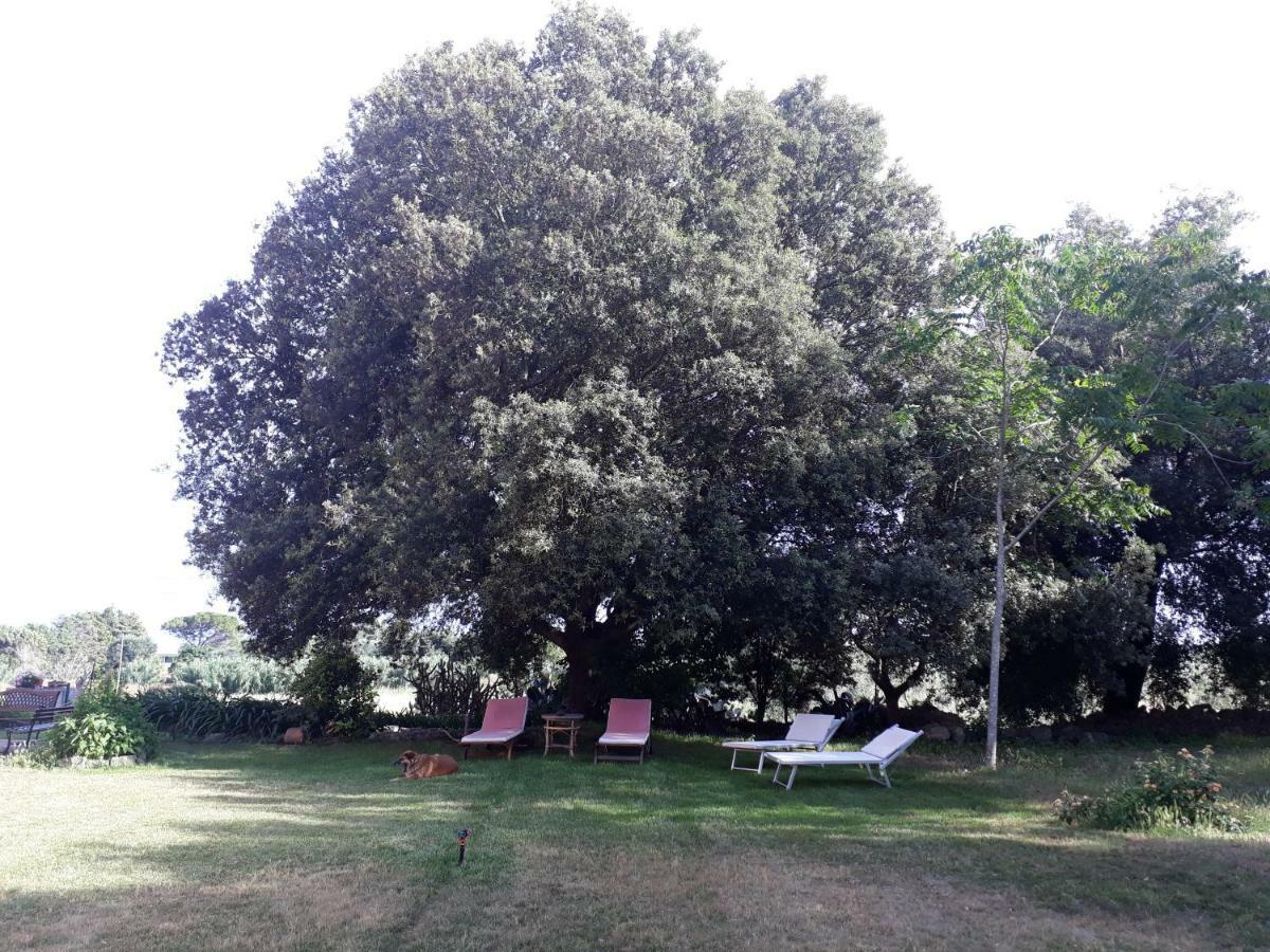 Tenuta Argiano Mesagne Exteriér fotografie