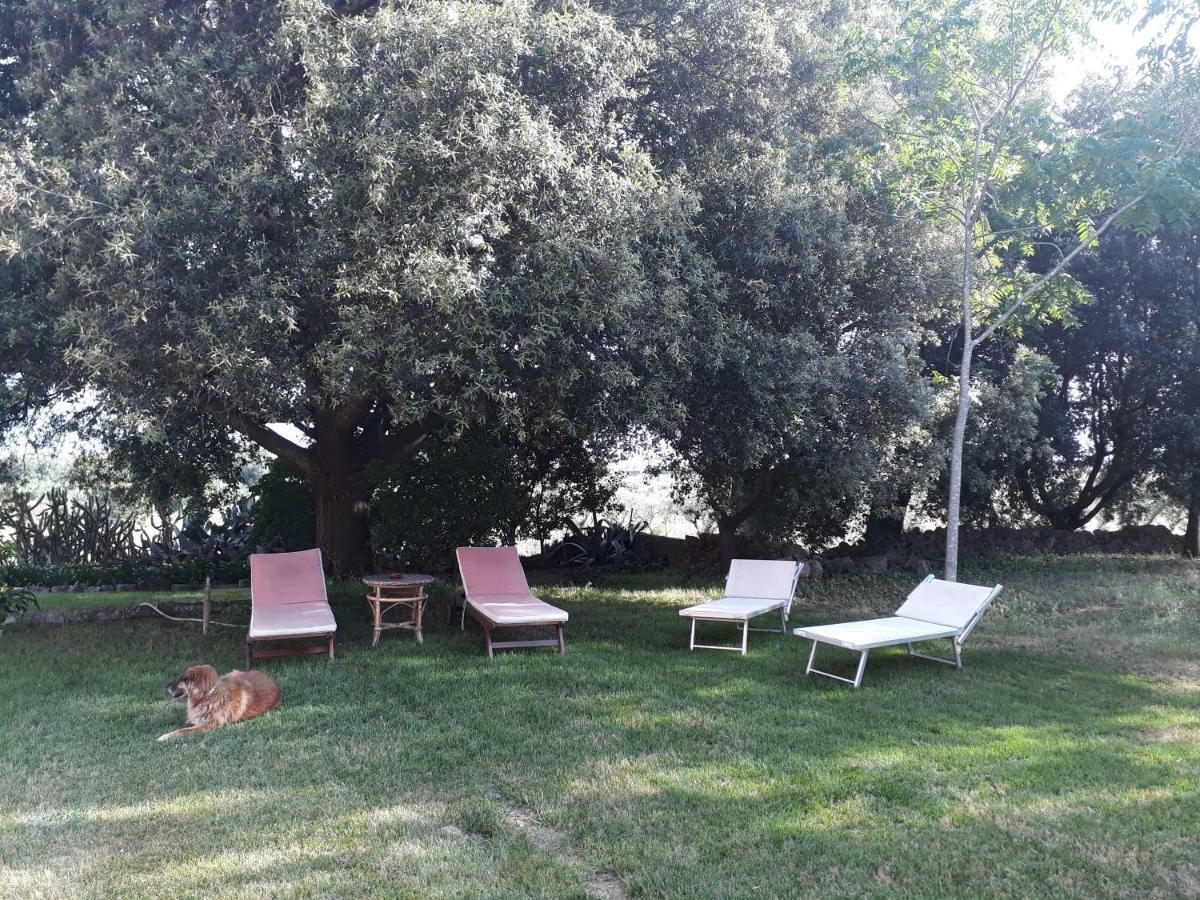 Tenuta Argiano Mesagne Exteriér fotografie